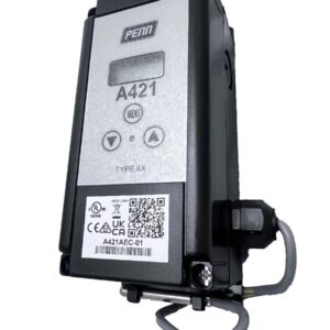 Thermostat, Electronic NEMA4X 120/240v AC